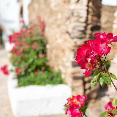 Finca El Azahar-3